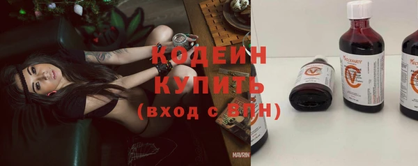 прущие грибы Киренск