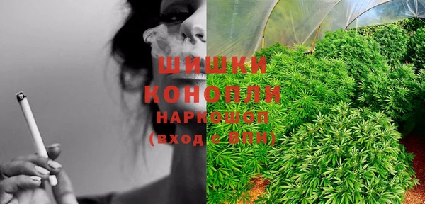 ГАЛЛЮЦИНОГЕННЫЕ ГРИБЫ Козельск