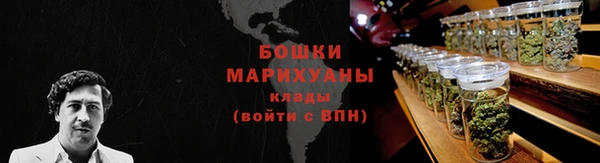 сатива Киреевск