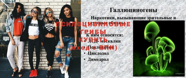 ГАЛЛЮЦИНОГЕННЫЕ ГРИБЫ Козельск