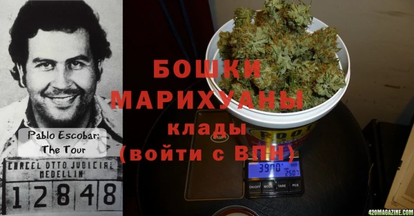 молекула духа Козловка