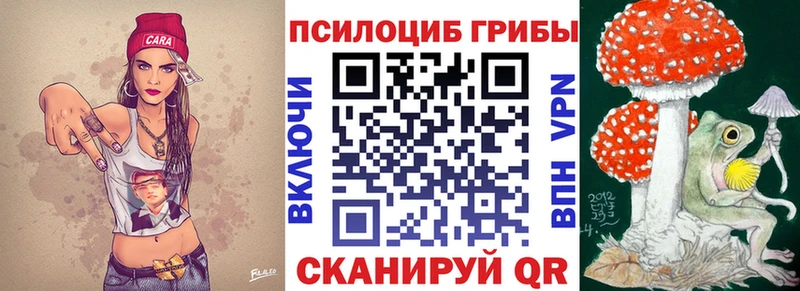 Купить закладки  Светогорск  Галлюциногенные грибы ЛСД 